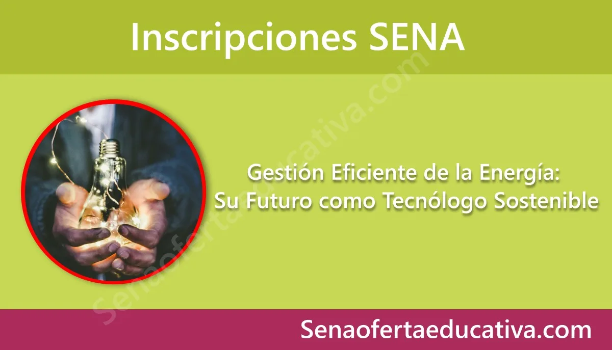 Gestión Eficiente de la Energía Su Futuro como Tecnólogo Sostenible
