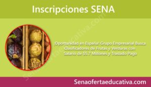 Oportunidad en España Grupo Empresarial Busca Clasificadores de Frutas y Verduras con Salario de $5.7 Millones y Traslado Pago