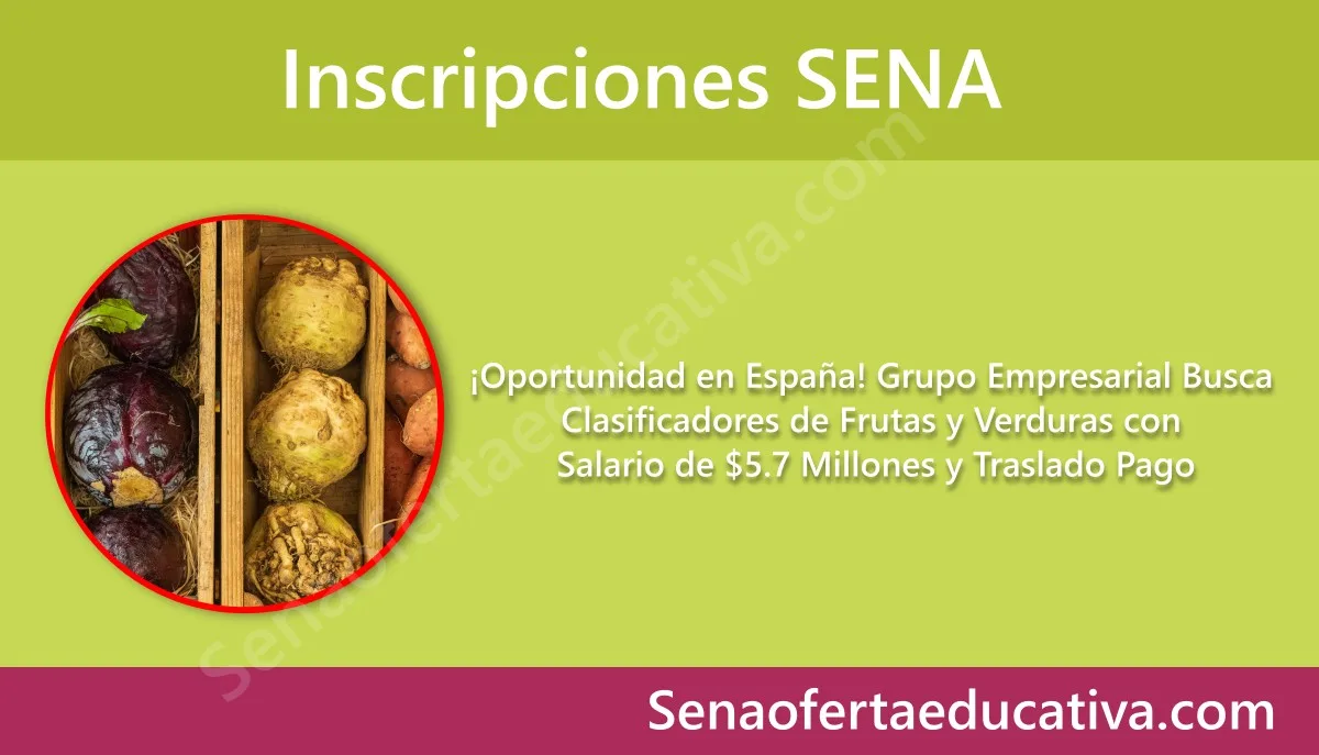 Oportunidad en España Grupo Empresarial Busca Clasificadores de Frutas y Verduras con Salario de $5.7 Millones y Traslado Pago
