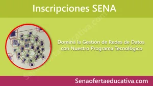 Domina la Gestión de Redes de Datos con Nuestro Programa Tecnológico