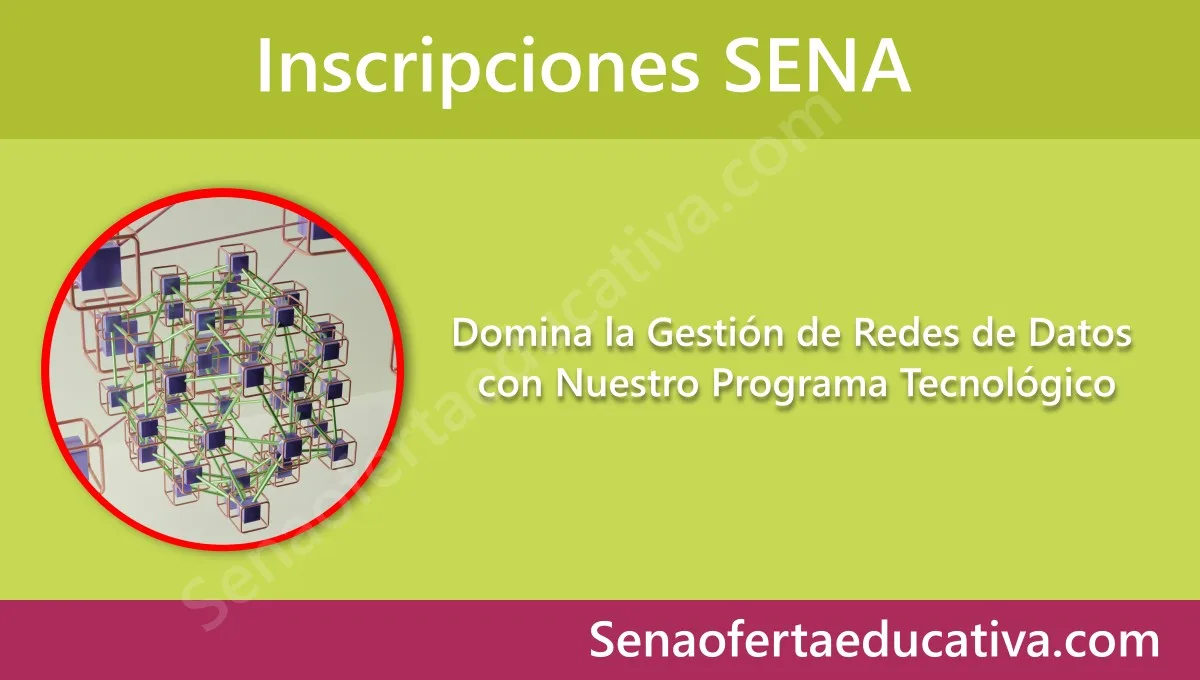 Domina la Gestión de Redes de Datos con Nuestro Programa Tecnológico
