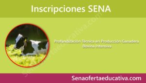 Profundización Técnica en Producción Ganadera Bovina Intensiva
