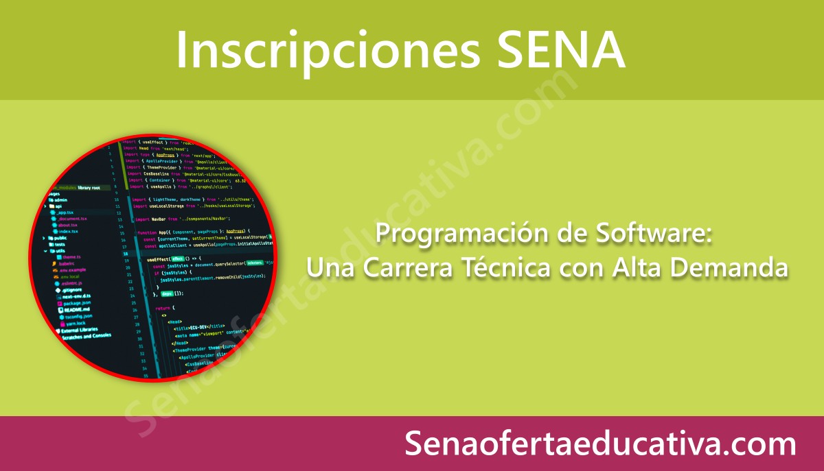 Programación de Software Una Carrera Técnica con Alta Demanda