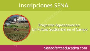 Proyectos Agropecuarios Un Futuro Sostenible en el Campo