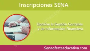 Domine la Gestión Contable y de Información Financiera