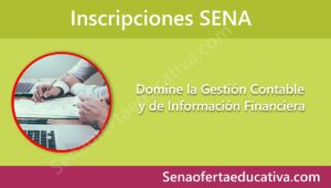 Domine la Gestión Contable y de Información Financiera
